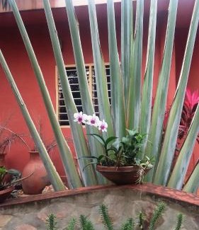 Lome House | Keryvonne