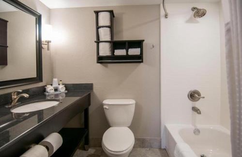 Jackson Apartment | King Bed Hotel Room 210