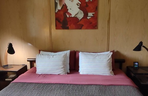 Spring Green Hotel | King Bed - MCM Style- Backyard View
