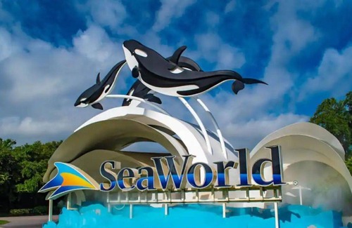Morena Apartment | King Beds Apt by SeaWorld. Pool, Hot Tub, Gym