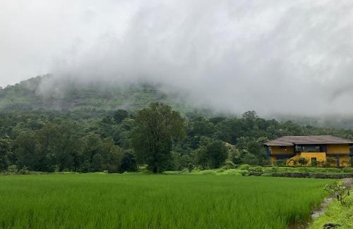 Kalote Mokashi House | King's Landing