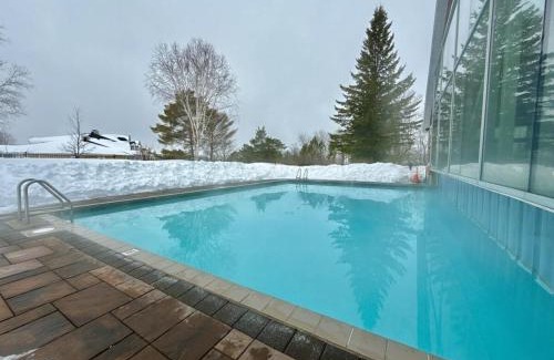 Oro-Medonte Apartment | King Studio Suite heated Pool and Sauna