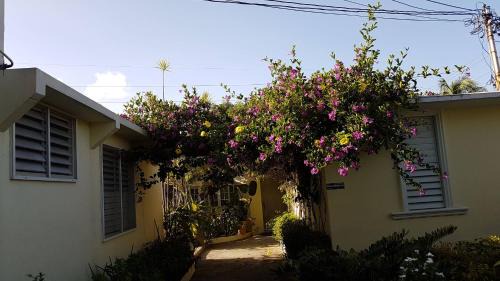 Beverly Hills Hotel | Kingston Cottage