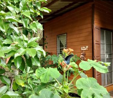 Pai House | Kiniman Home