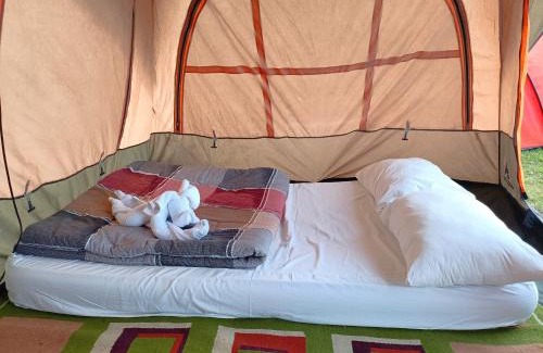 Kedisan Other | Kintamani Adventures 'Hide in Nature lodge'