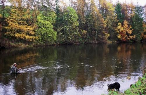 Lockerbie House | Kirkwood - Real Farm Holidays & Experiences