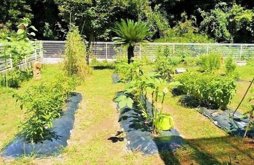 Tateyama House | Kitchen Garden