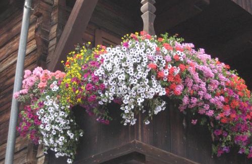 Obertilliach Apartment | Klammer Gabi