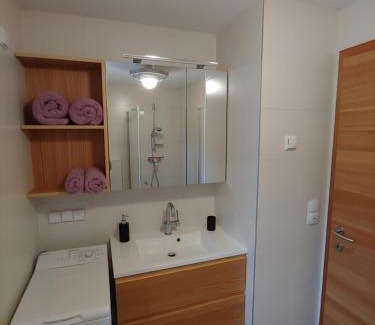 Sebersdorf Apartment | kleine Reblaus