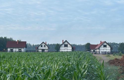 Wdzydze Tucholskiez House | Klinwdzydze