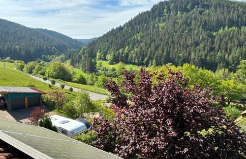 Klosterreichenbach Apartment | Klosterquelle
