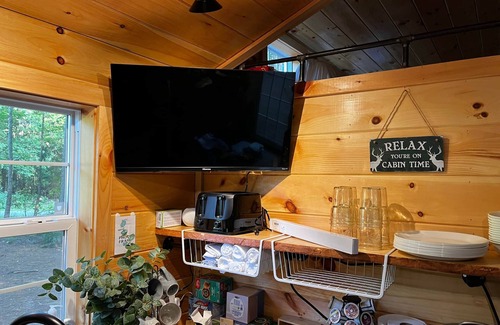 Big Sandy House | Knotty Pines Tiny Cabin House near Kentucky Lake, TN
