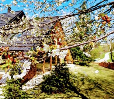 Moravske Toplice House | Koča na samem