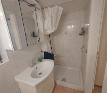 Ilirska Bistrica House | KOČA PLANIKA, SVIŠČAKI