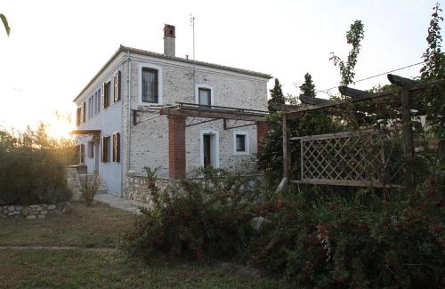 Toxotes House | Kokkymelon