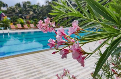 Gazipur Resort | Kokomo Sunset Resort