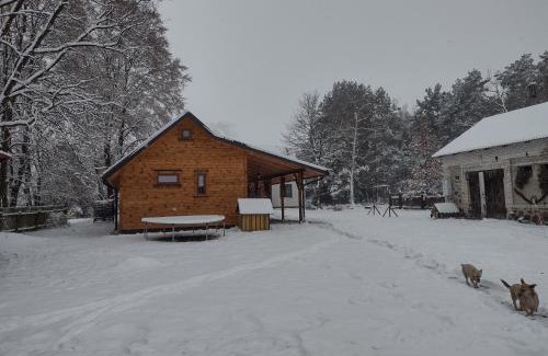 gmina Trojanow House | Kolorowe Wzgórze agroturystyka i konie