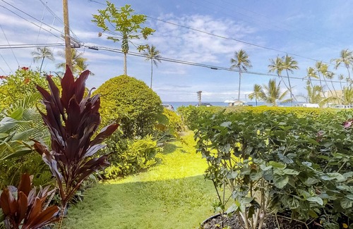 Kahaluu Bay Apartment | Kona Magic Sands Condo