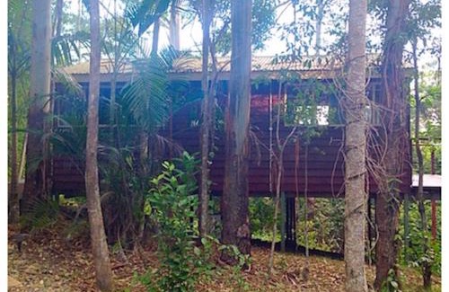 Montville Resort | Kondalilla Eco Resort