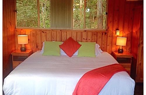 Montville Resort | Kondalilla Eco Resort