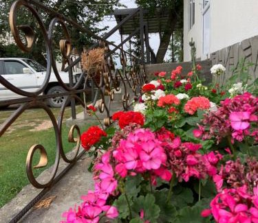 Chuy Province House | Kordon guest house