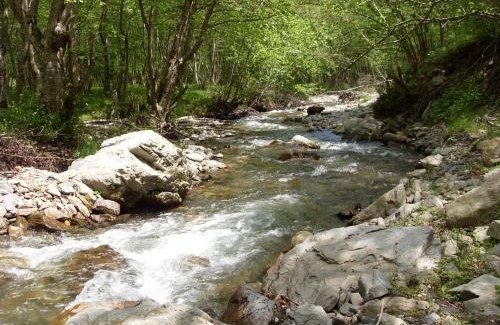 Andrijevica Bed & Breakfast | Kraljska koliba - Kralje's Cottage