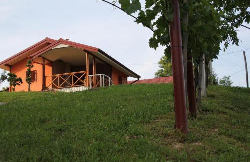 Donji Koncovcak House | Kuća za odmor "Nedeljko"/Holliday hause "Nedeljko"