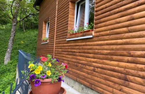 Brod Moravice Ski Chalet | Kuća za odmor Maklen