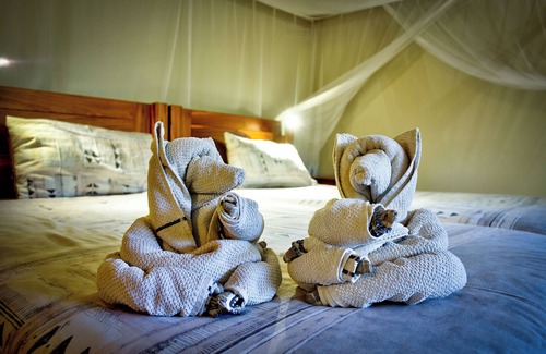 Thorny Bush Game Reserve Cabin | Kubu Safari Lodge