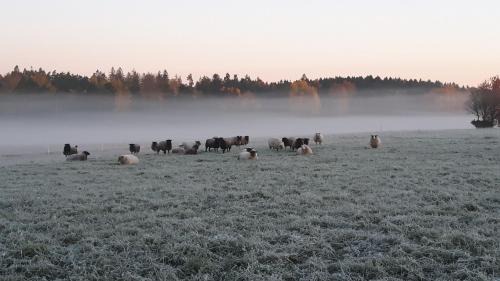 Lidkoping Bed & Breakfast | Kullens Bed and Breakfast