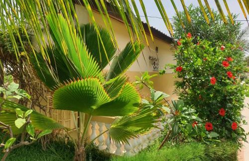 Kotu Resort | Kunta Kinteh Beach Complex