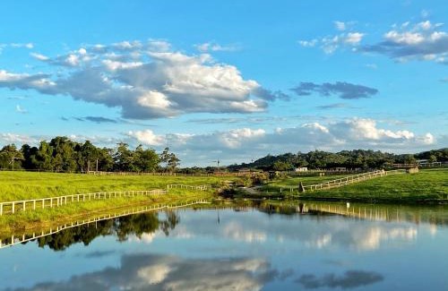 Kuranda Other | KUR-Cow farm escape 35 minutes from Cairns