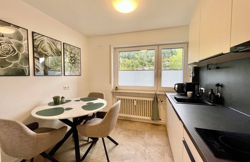Bad Wildbad Apartment | Kurpark Apartment with swimming pool
