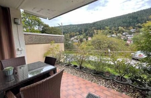 Bad Wildbad Apartment | Kurpark Apartment with swimming pool