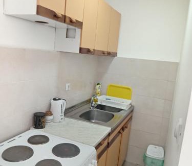 Kursumlija Apartment | Kursumlija