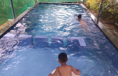 Arpookara Bed & Breakfast | Kuttickattil Pool Home Stay Kumarakom