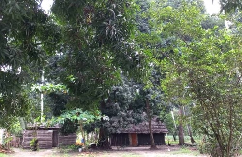 Tunguu Bed & Breakfast | Kv Jungle Bungalows