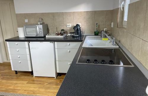 Vlahita Apartment | Léda Guesthouse 1 Szentegyháza