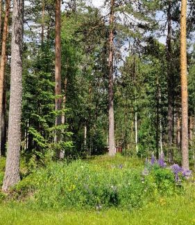 Sorsjon House | Lövnäs Sommarhus