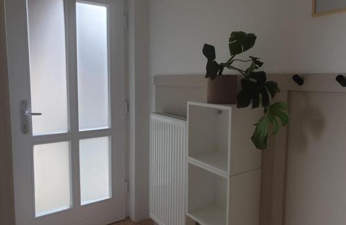 Wittkiel Apartment | lüdde huus