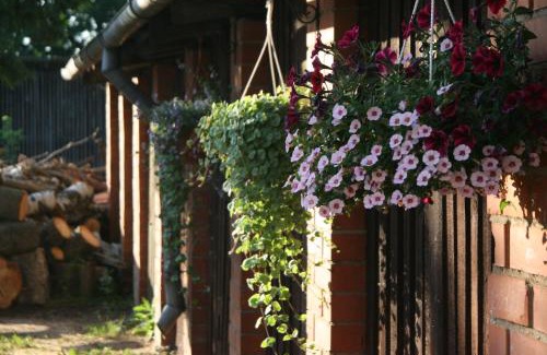 Kuldiga Apartment | Lība Apartments