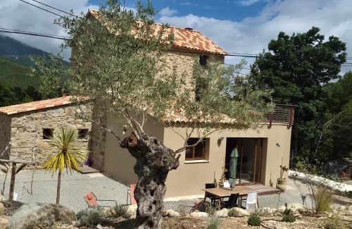 Venaco Villa | l'Alivu di venaco