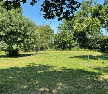 Bassoues Bed & Breakfast | L'Arbre penché