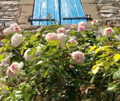 Saint-Jean-de-Ceyrargues Bed & Breakfast | L'Autre Maison