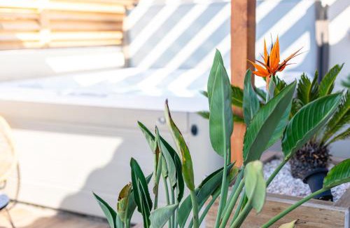 Le Somail Apartment | L'entre deux-suite romantique - jacuzzi privatif - clim réversible - wifi