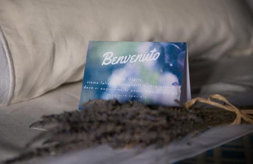 Serrungarina Bed & Breakfast | L'Infinito