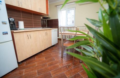 Otelu Rosu Apartment | L&R Modern Apartment