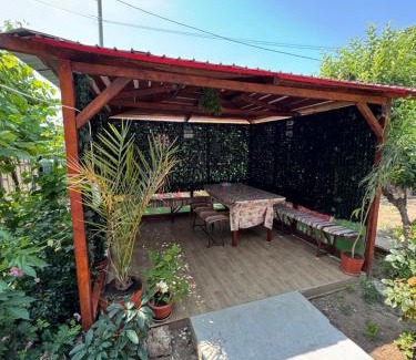 Doua Mai House | La Anica