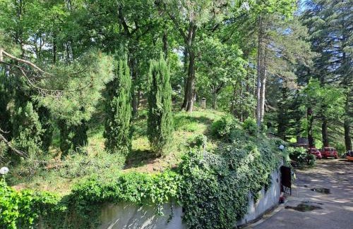 Sasso Marconi Apartment | LA BARCA NEL FRUTTETO Natura e relax in collina