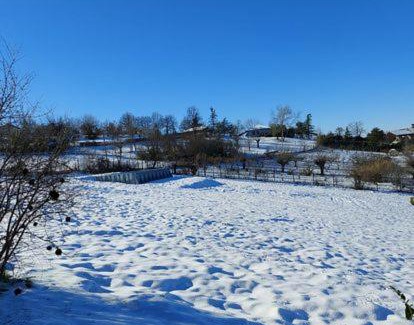Tortona Bed & Breakfast | La BedOlla '41 Tortona